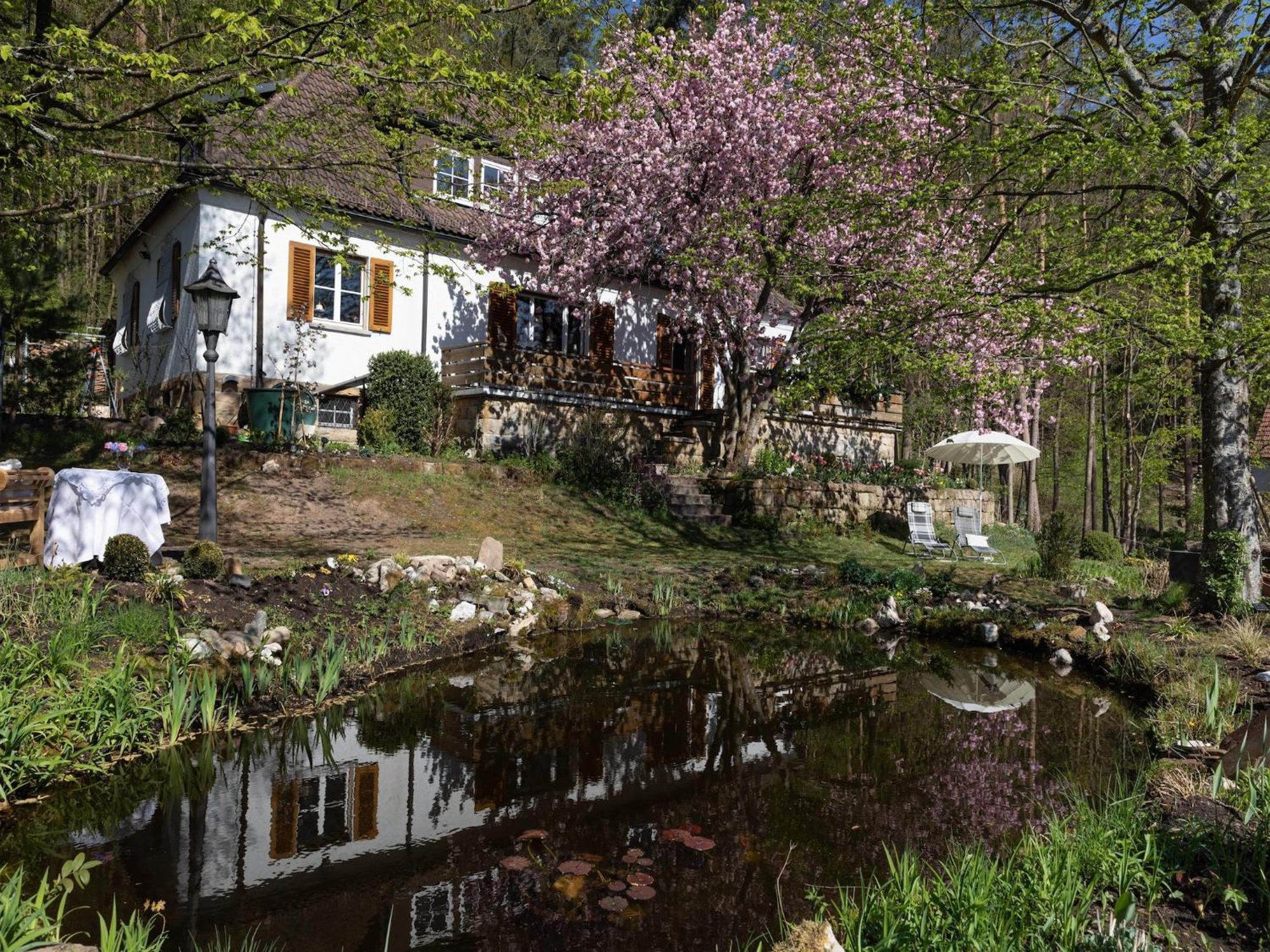 Charming Apartment In Wei Enbrunn Near Forest Weissenbrunn Eksteriør billede
